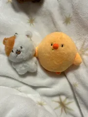 ポケチ 뺙찌 チソン