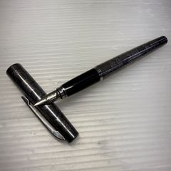 PILOT 18金 万年筆 Silver Dragonパイロット 龍 昇龍 - メルカリ