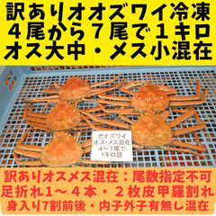訳ありオオズワイ　オスメス混在　４尾から７尾で１キロ（折れ・内子外子有無混在）ボイル時計量ワンブロック冷