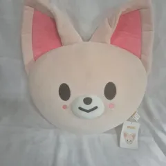 Stray Kids(ストレイキッズ・スキズ・SKZ) FoxI.Ny クッション