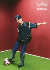 【中古】コレクションカード(男性) 024：Mrs. GREEN APPLE/若井滉斗/「Mrs. GREEN APPLE on “Harmony”」MGA Special Photo Card Set “Harmony” フォトカード