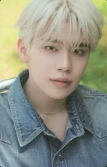 【中古】コレクションカード(男性) ZEROBASEONE/キム・テレ(Kim Tae Rae)/CD「THE 1ST FULL ALBUM [NEVER SAY NEVER]」(SCENTS Ver.)封入フォトカード