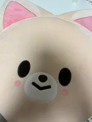 Stray Kids(ストレイキッズ・スキズ・SKZ) アイエン(I.N・ヤンジョンイン) うちわ COVER 出品 ストレイキッズ(ストレイキッズ・スキズ・SKZ)