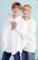 【中古】コレクションカード(男性) SEVENTEEN/WONWOO(ウォヌ)・SEUNGKWAN(スングァン)/裏面ピンク/2018 SVT 2nd FAN MEETING＜SEVENTEEN in CARATLAND＞トレーディングカードA