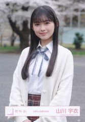 【直筆サイン】櫻坂46 生写真 四期生お披露目制服 山川宇衣 チュウ 山川宇衣 櫻坂46 四期生お披露目制服 生写真 直筆 サイン - メルカリ