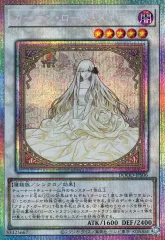 2026年最新】ガーデン・ローズ・メイデン DOOD-JPS06 PSEの人気