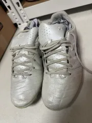 アシックス dsライト プロ 245