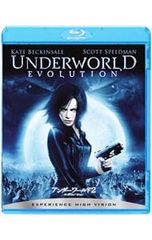 DVD／相棒 スリム版 シーズン4 DVDセット1 - メルカリ