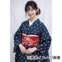 601af14△セミアンティーク着物 水玉 ドット柄 抽象柄 大正ロマン 昭和