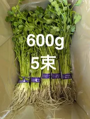 TIME SALE！2/27発送限定！！歯応え抜群の根っこ付き！シャキシャキ食感！『茨城県産せり』600g※120g×5束