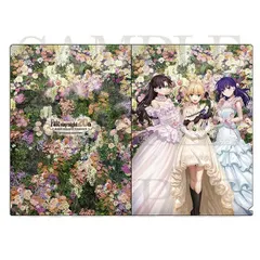 Fate/stay night 20周年記念コンサート A4クリアファイル セイバー アルトリア・ペンドラゴン 遠坂凛 間桐桜 グッズ