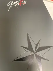 Stray Kids(ストレイキッズ・スキズ・SKZ) ペンライト ver2