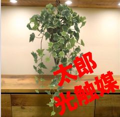 光触媒 人工観葉植物 ウォールグリーン フェイクグリーン エレガント
