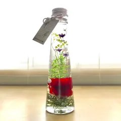 (レッド) 完成品』 花『三角瓶 ギフト ハーバリウムフラワー カーネーション ハーバリウム 母の日