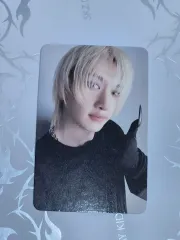 Stray Kids / SKZOO Christmas EveL スピーカー バンチャン(BANG CHAN) トレカ 出品