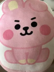 BTS ジョングク COOKY ぬいぐるみ