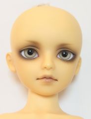 Item thumbnail for item 074fa242-12f3-42e4-8153-d4429b4251ed