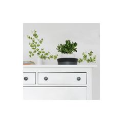 Item thumbnail for item 5db7455b-47cd-4043-b4ad-90a060c0664c