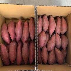 サイズ•産地お任せ　シルクスイート　1kg SML丸　千葉県茨城県等　国産