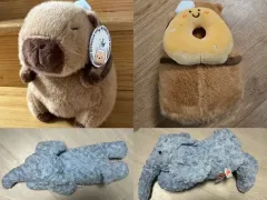 中型 ぬいぐるみ コレクション 2