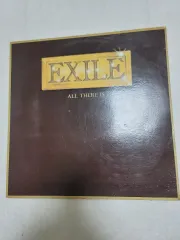 2026年最新】EXILEレコードの人気アイテム - メルカリ