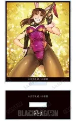 【中古】アクリルスタンド・アクリルパネル レヴィB 「BLACK LAGOON トレーディング カラーイラスト アクリルスタンド ver.B」