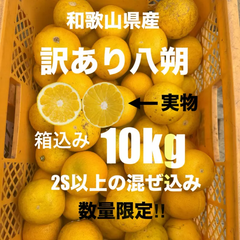 和歌山県産　訳あり　八朔　10kg.