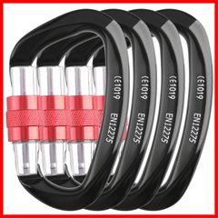 Item thumbnail for item c7e2ac77-b6ab-42f1-ba0f-4161d2bd854e