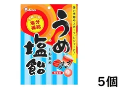 ライオン菓子 うめ塩飴 73g×5個 賞味期限2027/02のサムネイル