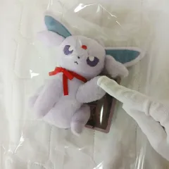 (新品 現物) ポケットモンスター イーブイ ぬいぐるみ イーブイ コレクション