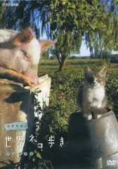 2026年最新】世界ネコ歩き dvdの人気アイテム - メルカリ