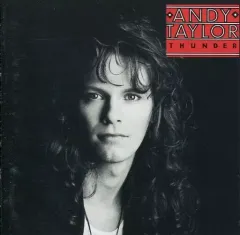 2026年最新】アンディテイラー cdの人気アイテム - メルカリ