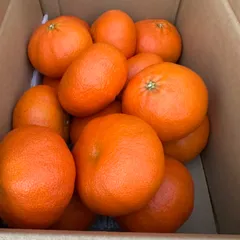 ❤️BIG 甘平❤️大きいのが好きなあなた❤️シリーズ4.5L