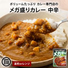 メタル インドカレー 中辛 160g 1箱 賞味期限2026年9月25日 - メルカリ