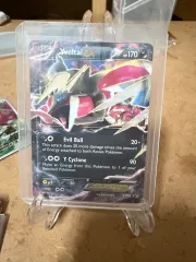 ポケモンカード イベルタル イロチ