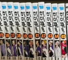 ハイキュー 全巻+ファンブック 外 小説 8 巻 + レッツハイキュー