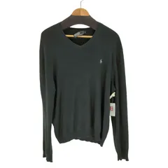 ポロバイラルフローレン Polo by RALPH LAUREN PIMA COTTON スモールポニー刺繍 Vネックニット メンズ JPN：L 