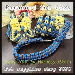 Item thumbnail for item 52f19288-2955-4afb-8699-62bfcfbd69f8