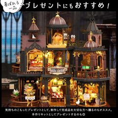 PIERROT黒革ミニトランク鍵付 HILL 幻覚の雪 初回限定版フルセット