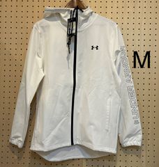 Item thumbnail for item 1b8a4350-5d4d-4077-a325-3844c89fdb55