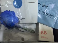 SEVENTEEN ドギョム スングァン 公開番組 サノク キット