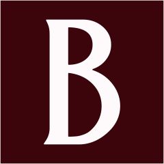 VIVIENNE TAM(ヴィヴィアンタム) スカートセットアップ レディース美品