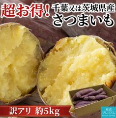 鳴門金時 15本 さつまいも苗 無農薬 (千葉べに) - メルカリ
