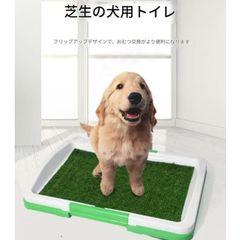 Item thumbnail for item b5e338e4-ecb3-416a-a14c-6016be20fb71