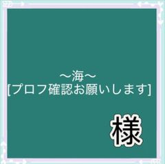 WSK⭐︎プロフ必読　 ⭐必ずプロフ読んで下さい☆さま 専用ページ - メルカリ