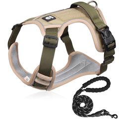 Item thumbnail for item 4bce8bf1-735c-402b-8f44-825cc0504eba