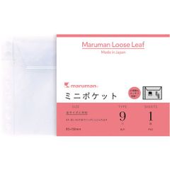 Item thumbnail for item 663a1b06-de15-4414-890d-ed049678f684