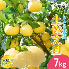 文旦 土佐文旦 家庭用 7kg 小 Mサイズ 18～21玉 なるた果樹園 宿毛 ぶんたん 宿毛市 産地直送 高知産 7キロ 果物 柑橘 宅急便