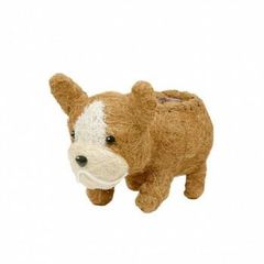 Item thumbnail for item 29875970-946d-4137-b443-2ebb9eacbbd4