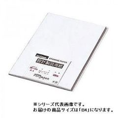 Item thumbnail for item 42594b07-a316-43ff-9b32-aa3dd3fcfa2a